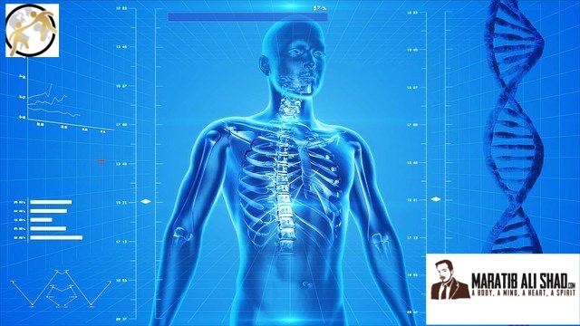 Human body is miracle